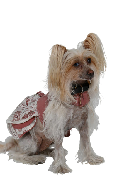 Custom Dog Skirt