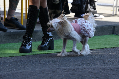 Custom Dog Skirt